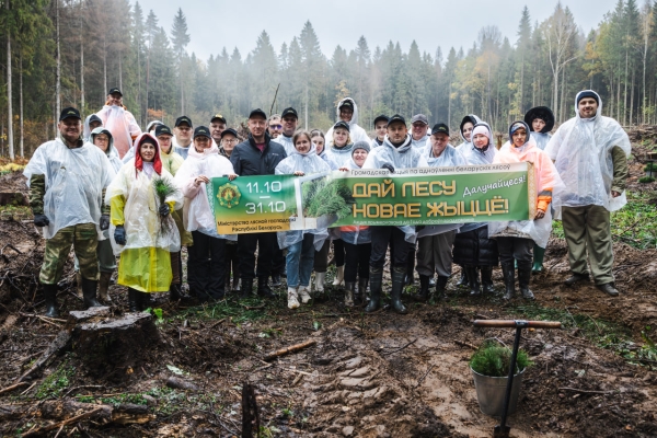 The Ministry of Transport has joined the forest restoration initiative "Give the Forest a New Life!"