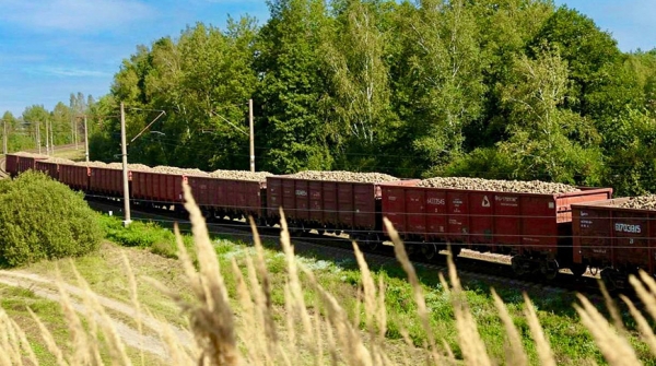 Белорусская железная дорога приступила к перевозке сахарной свеклы урожая 2026 года